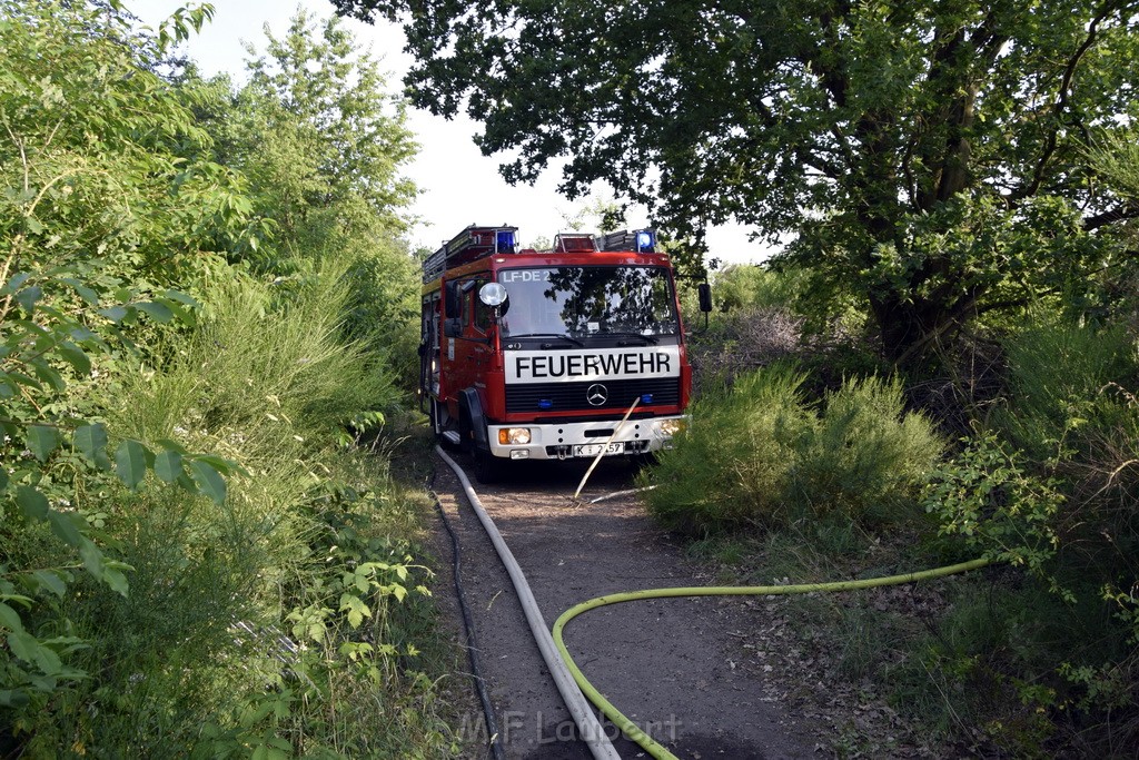 Waldbrand Koeln Hoehenhaus Hoehenfelder Mauspfad P055.JPG - Miklos Laubert